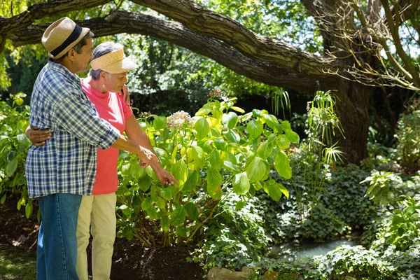 Coppia anziana in piedi con braccio in giardino — Foto Stock