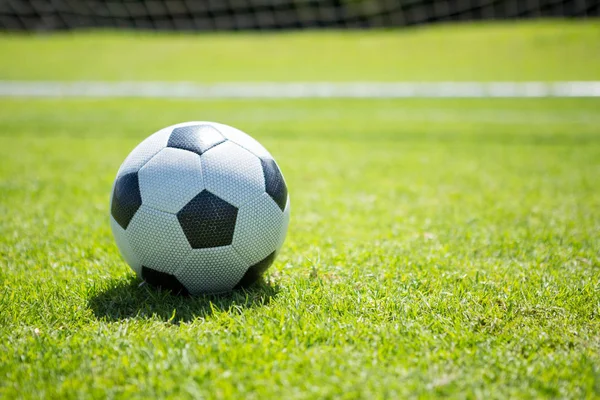 Soccer ball on playing field — Stock Photo, Image