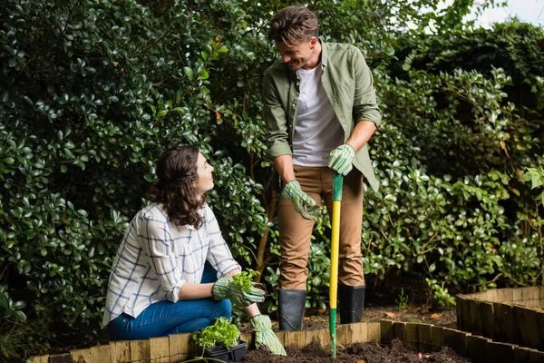 Casal interagindo uns com os outros enquanto jardinagem no jardim — Fotografia de Stock