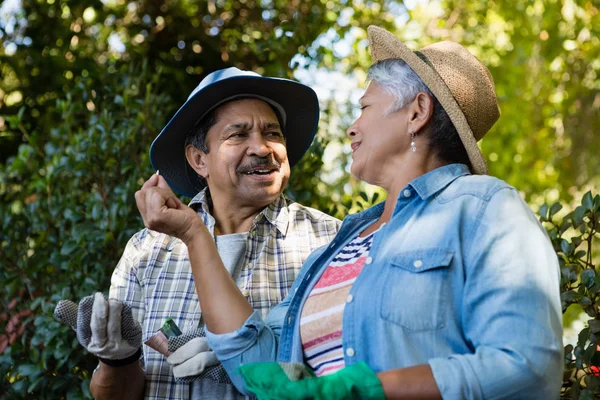 Casal interagindo uns com os outros enquanto jardinagem no jardim — Fotografia de Stock