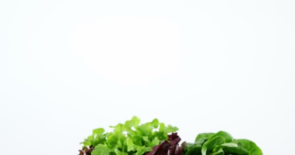Leafy vegetables on wooden table — Stock Video
