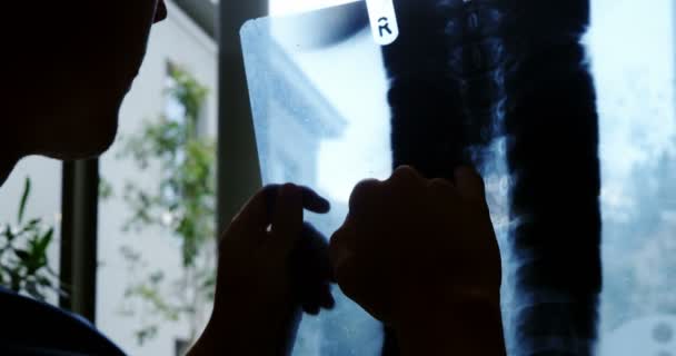 Läkaren undersöker röntgen rapport — Stockvideo