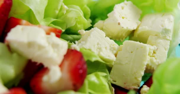 Queso fresco con verduras — Vídeos de Stock