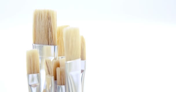 Close-up of various paint brushes — Stock Video