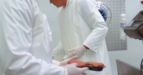 Butchers checking the weight of meat at meat factory — Stock Video