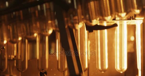 Test-tube moving in production line — Stock Video