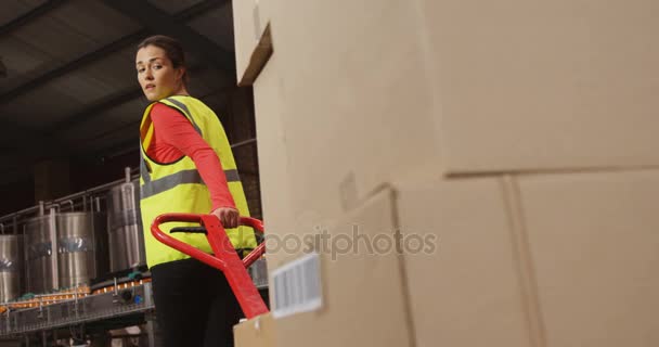Trabalhadora feminina transportando caixa de papelão no carrinho — Vídeo de Stock