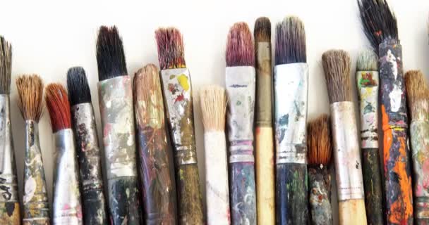 Close-up of various paint brushes — Stock Video