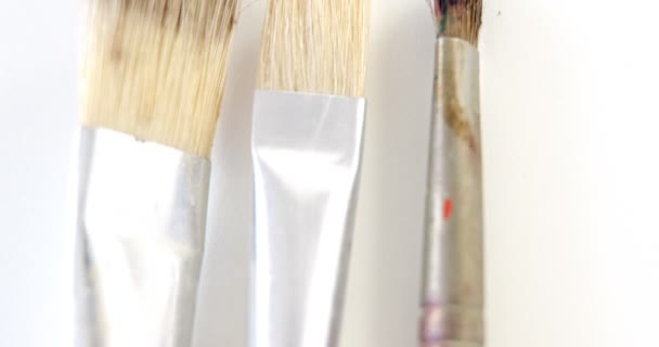 Close-up of paint brushes — Stock Video