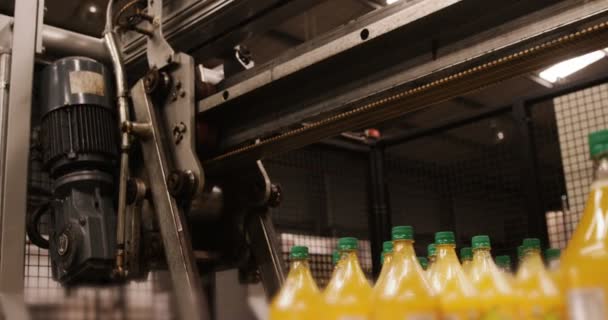 Maskinen separerande juice flaskor — Stockvideo