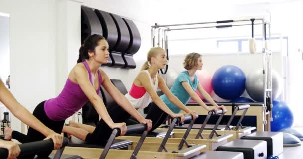 Schöne Frauen beim Training im Fitnessstudio — Stockvideo