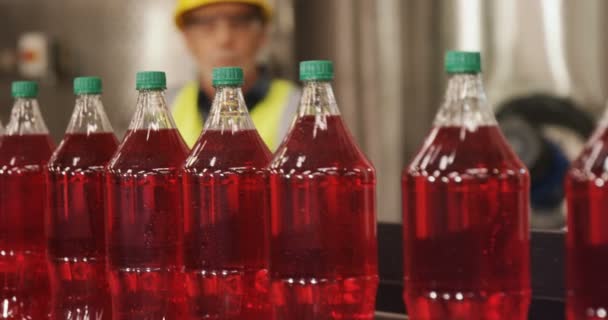 Pekerja memeriksa botol jus pada lini produksi — Stok Video