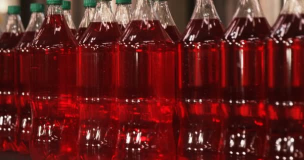 Carbonated beverage bottle moving on conveyor — Stock Video