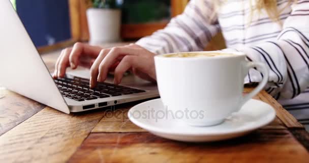 Female customer using laptop in cafe — Stock Video