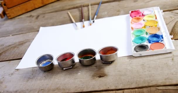 Watercolor paint and paintbrushes with canvas — Stock Video