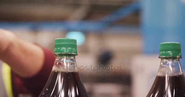 Werknemers controle flessen op de productielijn — Stockvideo
