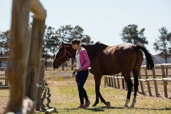 Panjang penuh wanita muda dengan kuda — Stok Foto