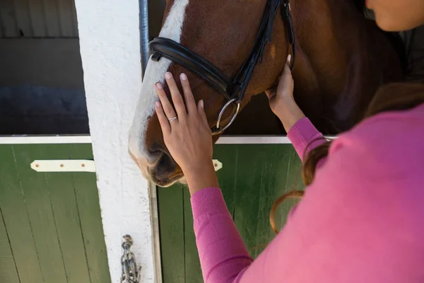 Oříznuté ruce ženy dotýkat koně — Stock fotografie
