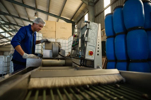 Trabalhador colocando azeitona na máquina na fábrica — Fotografia de Stock