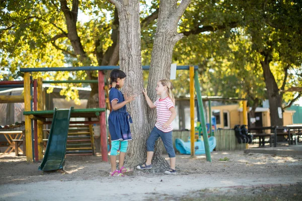 Meninas falando enquanto em pé pela árvore — Fotografia de Stock