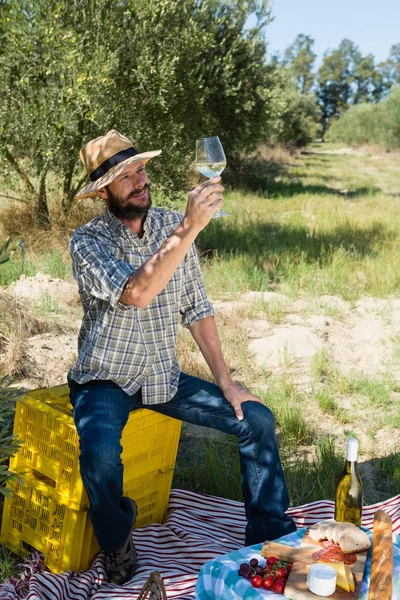 Hombre mirando una copa de vino en la granja de olivos — Foto de Stock