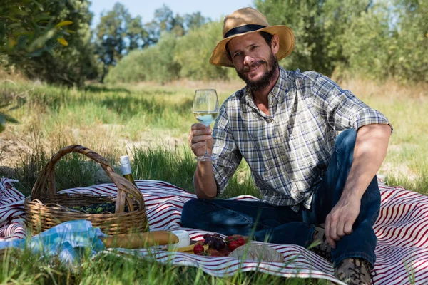 ピクニック毛布でワインのグラスと座っている男 — ストック写真