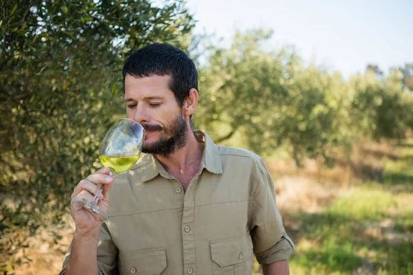 Farmer boire un verre de vin — Photo