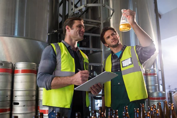 Spolupracovníci zkoumání pivo v kádince — Stock fotografie
