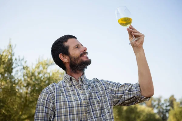Чоловік дивиться на келих вина — стокове фото