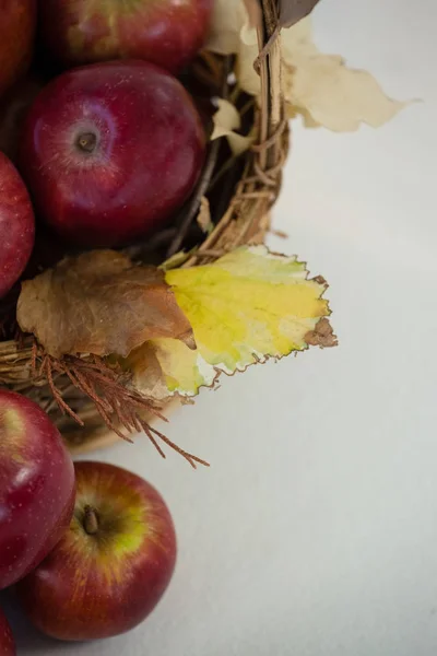 Autumn leaves on white — Stock Photo, Image