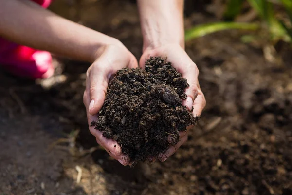 庭の女性保持土壌 — ストック写真