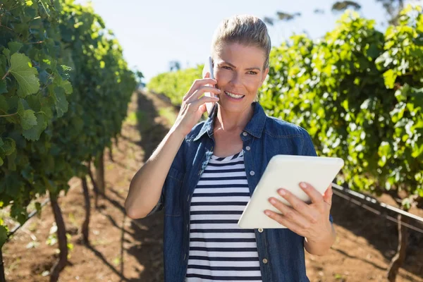 Femme vigneron à l'aide d'une tablette numérique — Photo