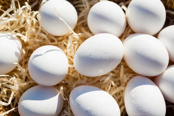 Primer plano de los huevos en la cesta de mimbre — Foto de Stock