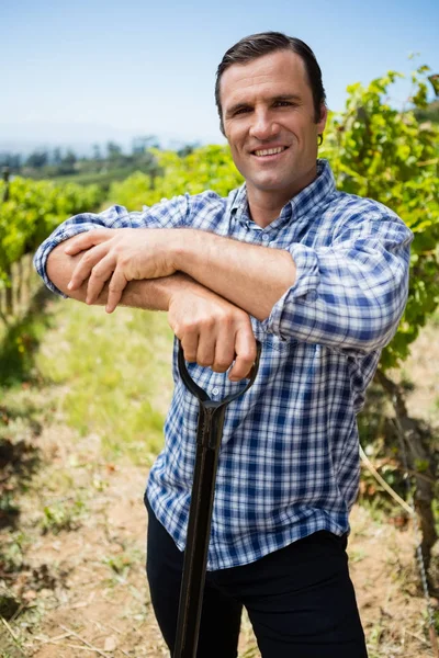 Retrato de vintner sorridente em pé com equipamento de jardinagem — Fotografia de Stock