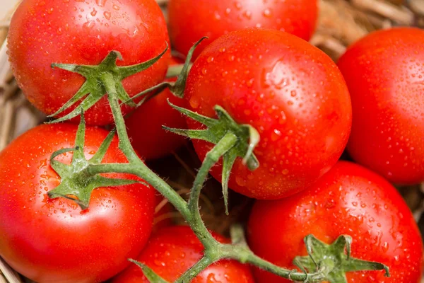 Fresh cherry tomatoes in wicker basket — Stock Photo, Image