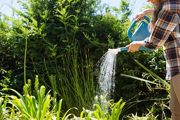 Woman watering plants with watering can — Stock Photo, Image