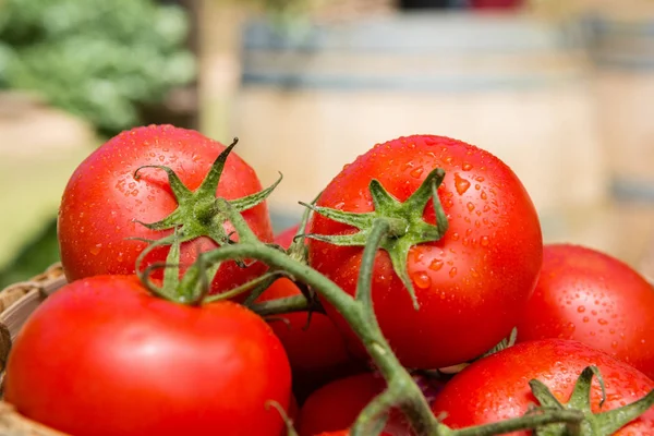 Fresh cherry tomatoes in wicker basket — Stock Photo, Image