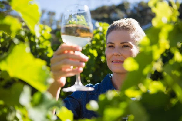 Kadın şarap tüccarı cam incelenmesi — Stok fotoğraf