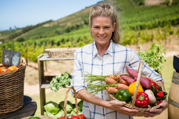 Женщина держит свежие овощи в корзине — стоковое фото