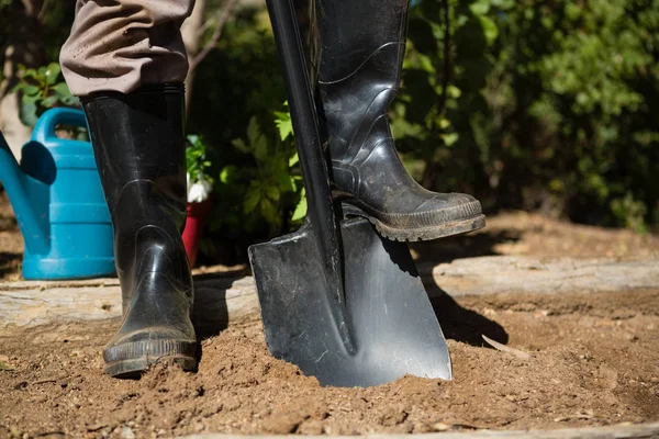 Uomo in piedi con pala in giardino — Foto Stock