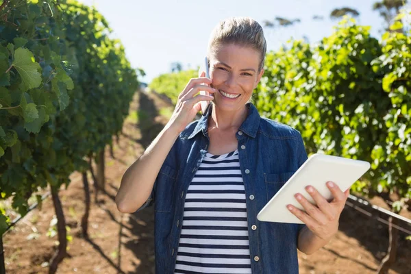 Женщина винодел с помощью цифрового планшета во время разговора на мобильном телефоне — стоковое фото