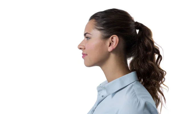 Esecutivo femminile — Foto Stock