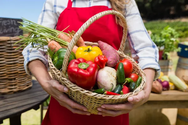 Mujer sosteniendo una cesta de verduras frescas en el puesto —  Fotos de Stock