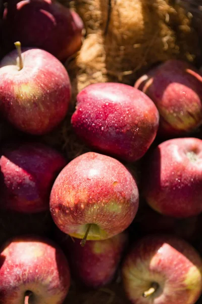 Zbliżenie: świeżego jabłka — Zdjęcie stockowe