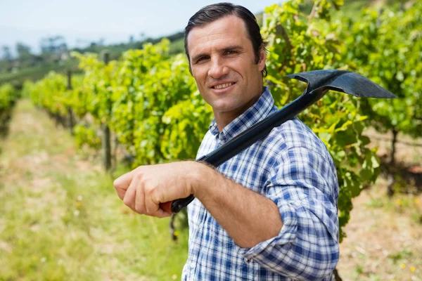 Porträtt av vinhandlare står med spaden i vingården — Stockfoto