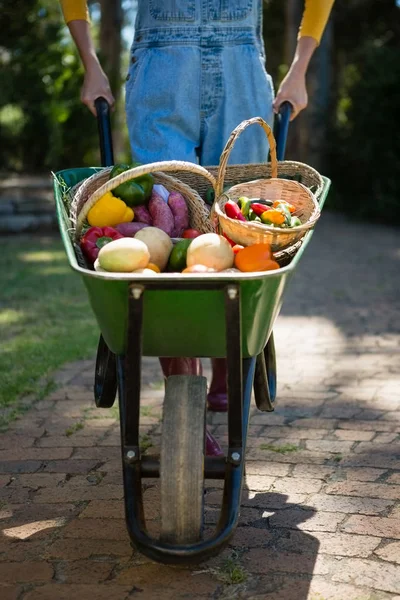 Mujer sosteniendo verduras frescas — Foto de Stock