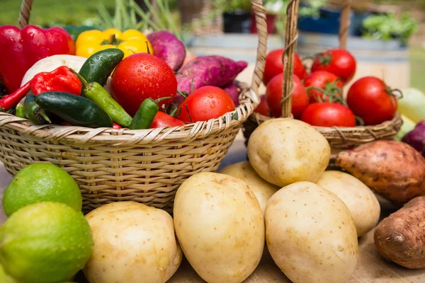 Diverse verse groenten, gerangschikt op tafel — Stockfoto