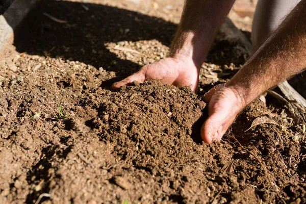 Человек держит почву в саду — стоковое фото