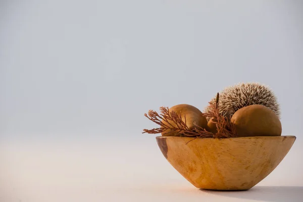 Dry leaves, pears, and porcupine in bowl — Stock Photo, Image