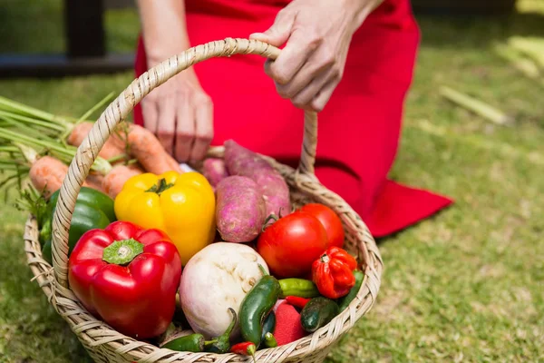 Mujer sosteniendo una cesta de verduras frescas —  Fotos de Stock